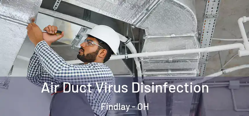  Air Duct Virus Disinfection Findlay - OH
