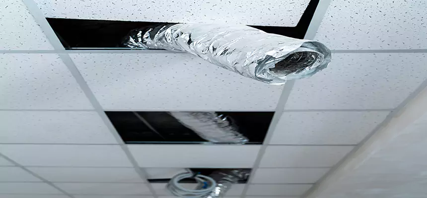 Our Air Duct Pet Hair Removal Services in Findlay, OH