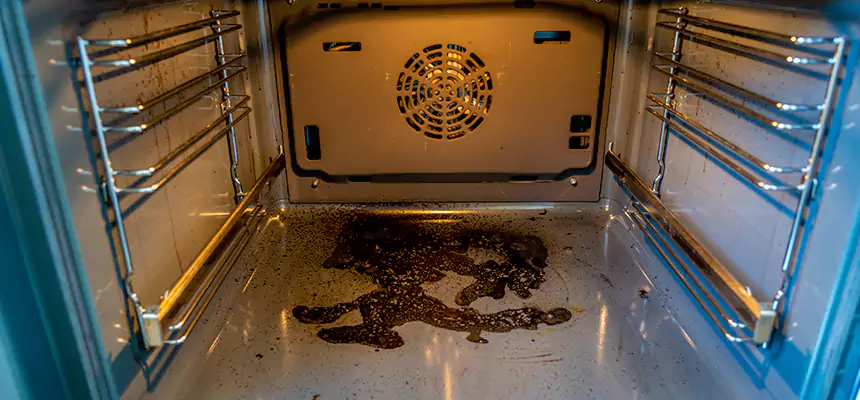 Our Dryer Vent Mold Cleaning Services in Findlay, OH