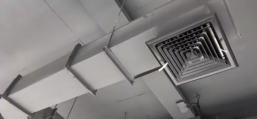 Our Pest Removal From Ducts Services in Findlay, OH