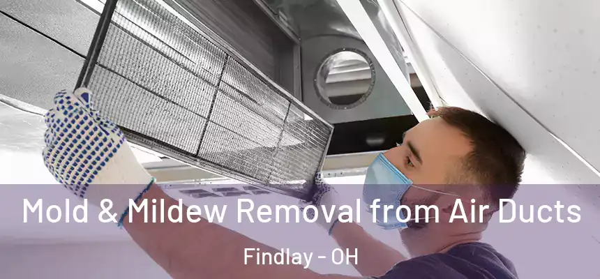  Mold & Mildew Removal from Air Ducts Findlay - OH
