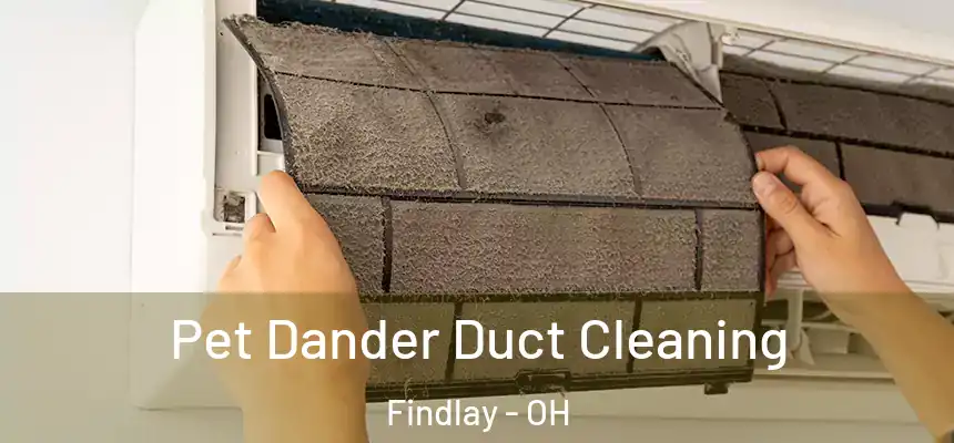 Pet Dander Duct Cleaning Findlay - OH