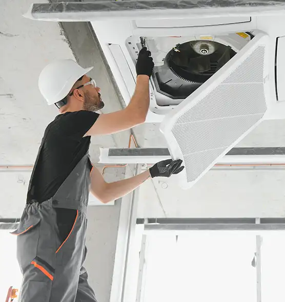 About Air Duct Rodent Removal in Findlay, OH