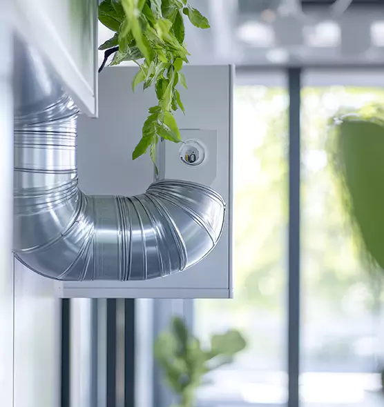 Professional Eco-Safe Dryer Vent Cleaning in Findlay, OH