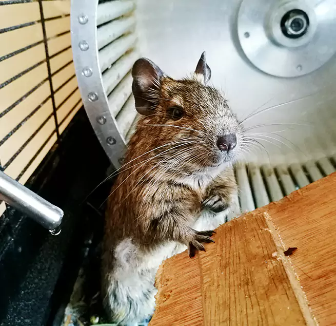 Why Homeowners & Businesses Trust Us Findlay, OH